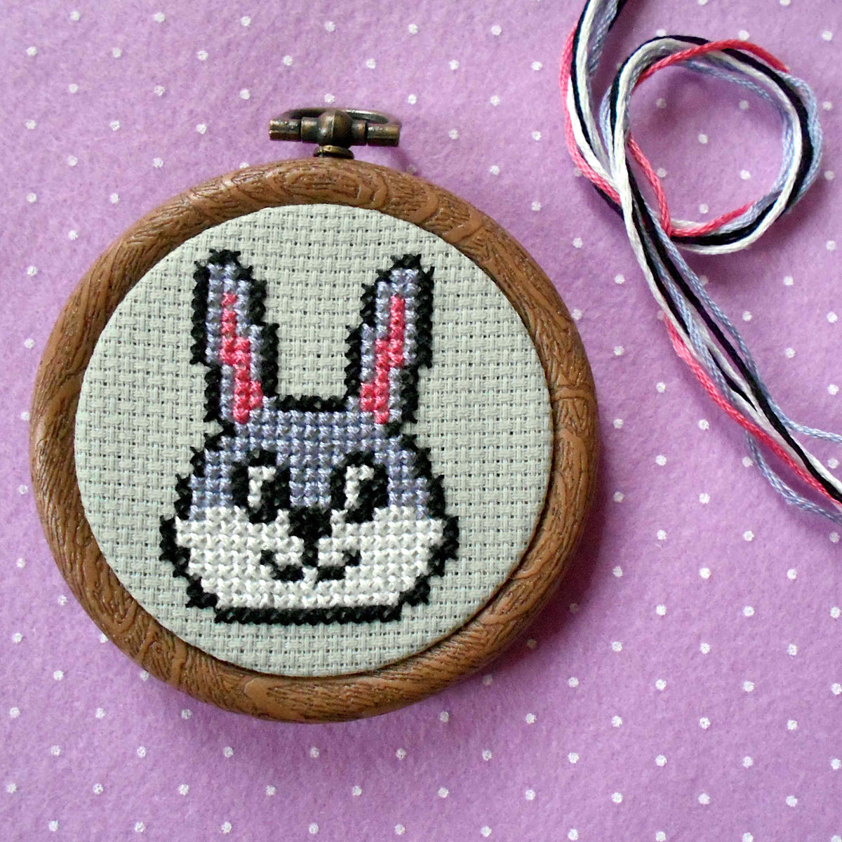 Bunny Rabbit Cross Stitch KIT For Beginners with Counted Pattern - DIY  Craft Kit