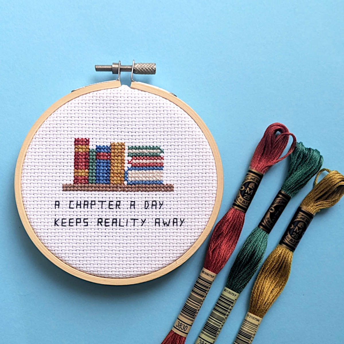 A completed cross-stitch embroidery in a wooden hoop, featuring colorful books on a shelf and the text 'A CHAPTER A DAY KEEPS REALITY AWAY', displayed on a light blue background with three DMC embroidery floss skeins.
